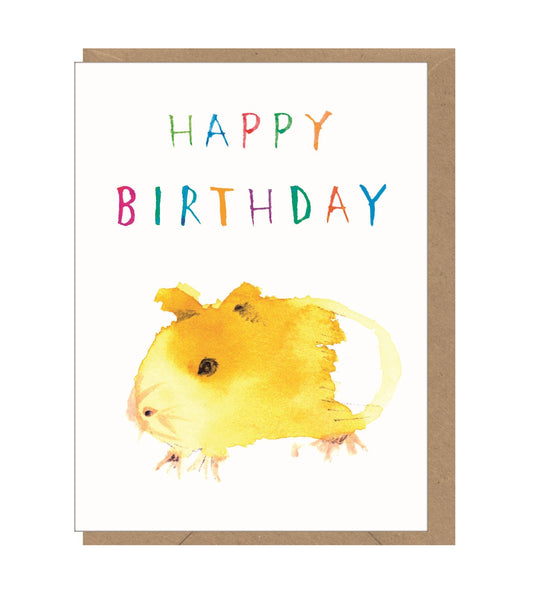 Mini Birthday Guinea Pig